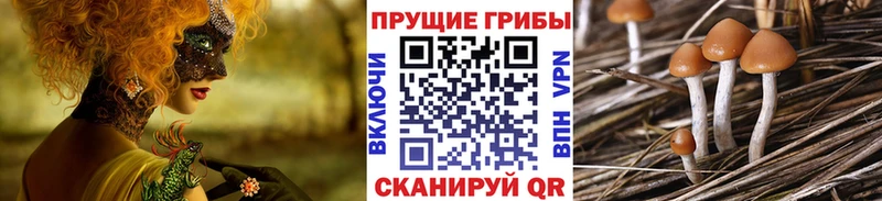 Псилоцибиновые грибы мицелий  Североуральск 