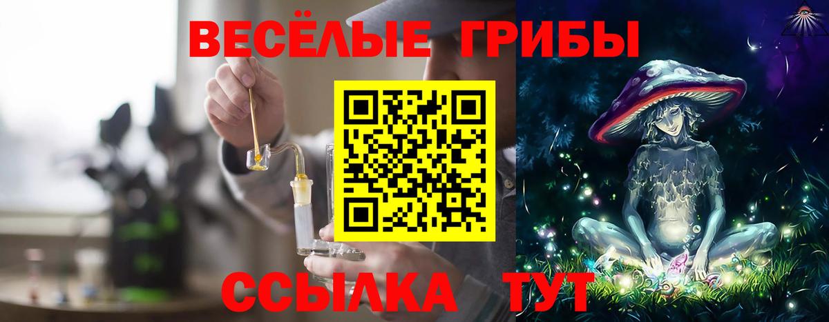 Североуральск  Галлюциногенные грибы Psilocybine cubensis  Вход с VPN 